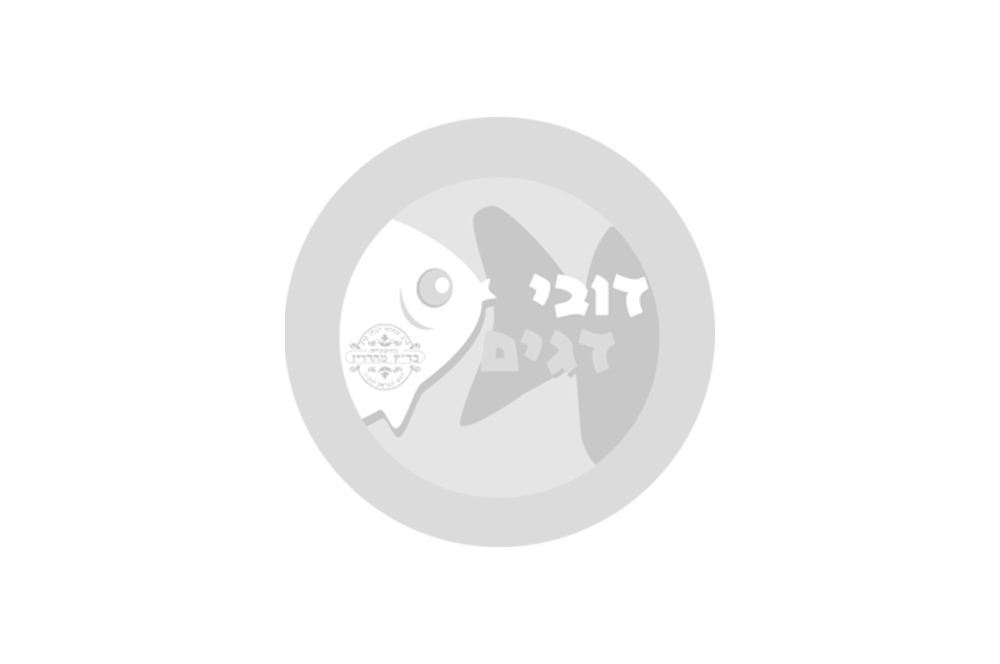 ממלא מקום